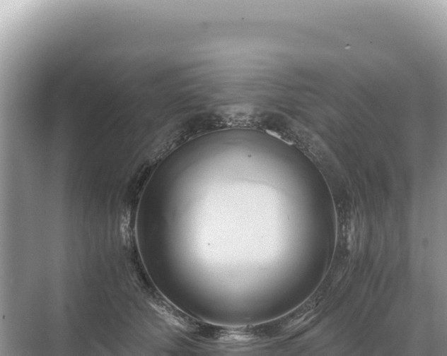 X0000071380610200606301811