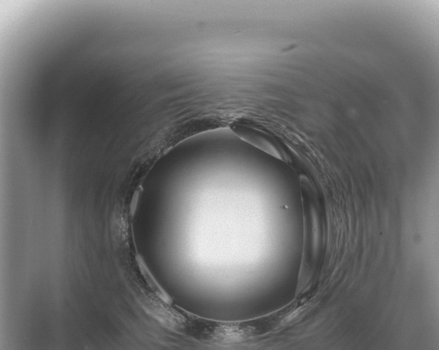 X0000071380613200606301811