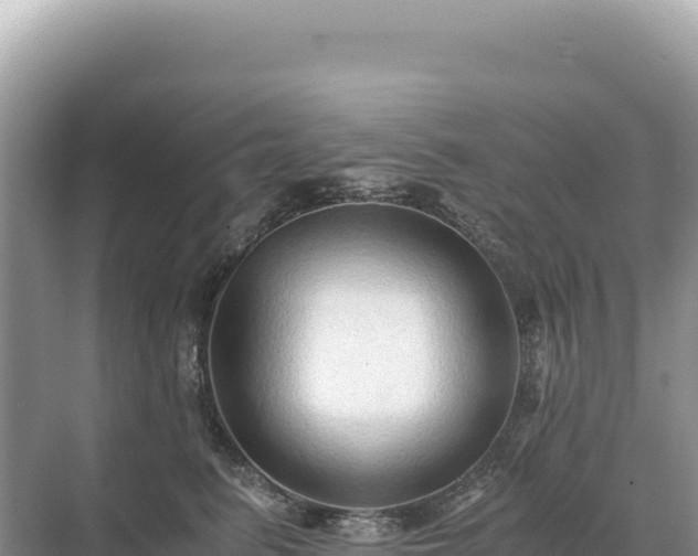 X0000071380615200606301811