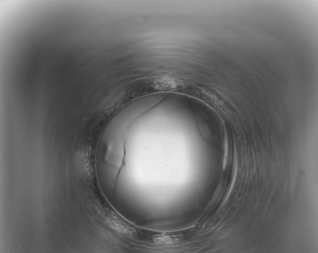 X0000071380616200606301811