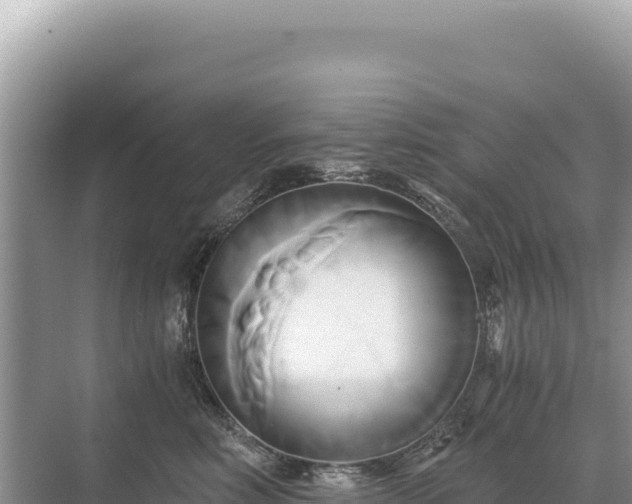 X0000071380618200606301811