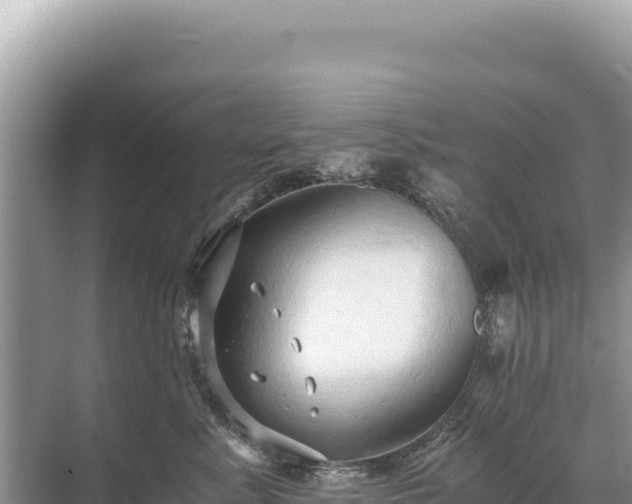 X0000071380619200606301811