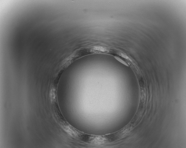 X0000071380621200606301811