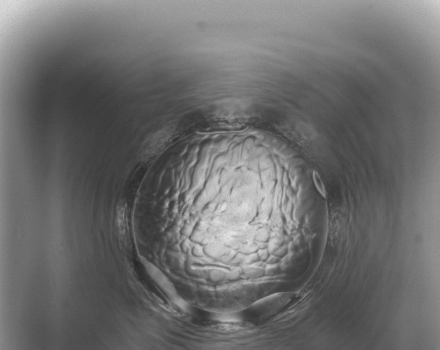 X0000071380623200606301811