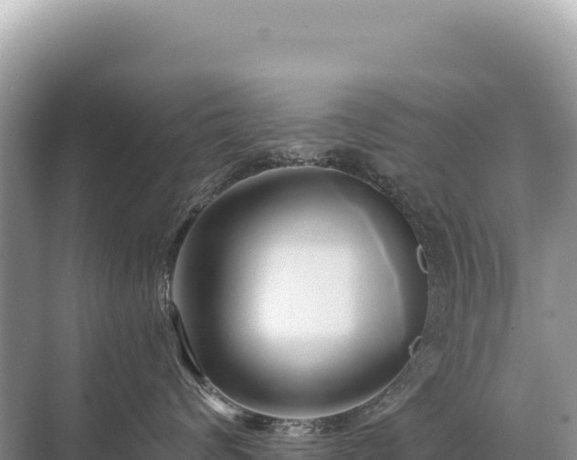 X0000071380624200606301811