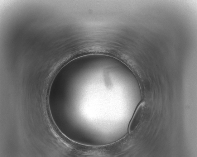 X0000071380625200606301810