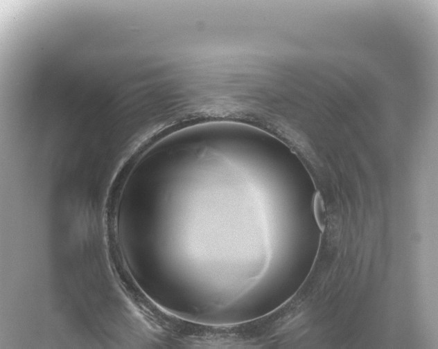 X0000071380626200606301810