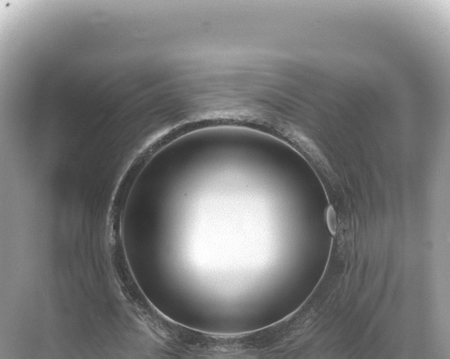 X0000071380628200606301810