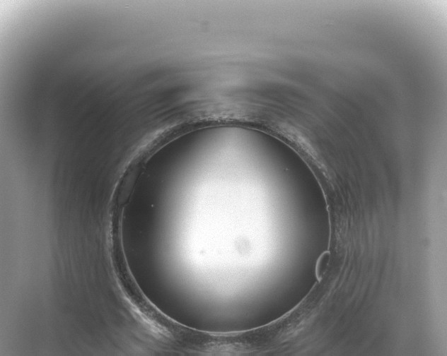 X0000071380629200606301810