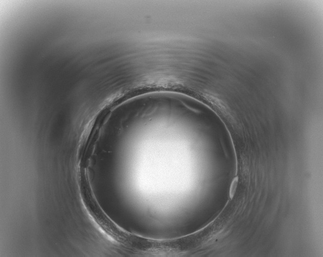 X0000071380630200606301811