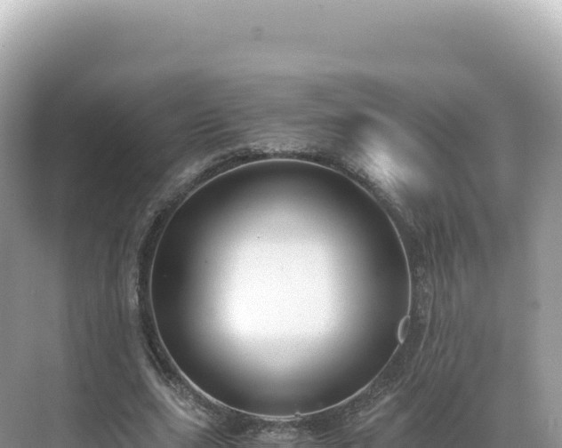 X0000071380631200606301811