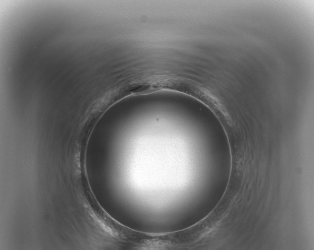 X0000071380633200606301811