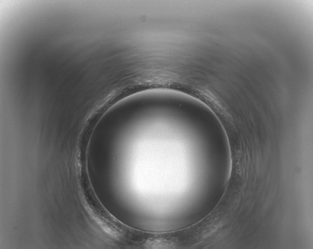 X0000071380634200606301811