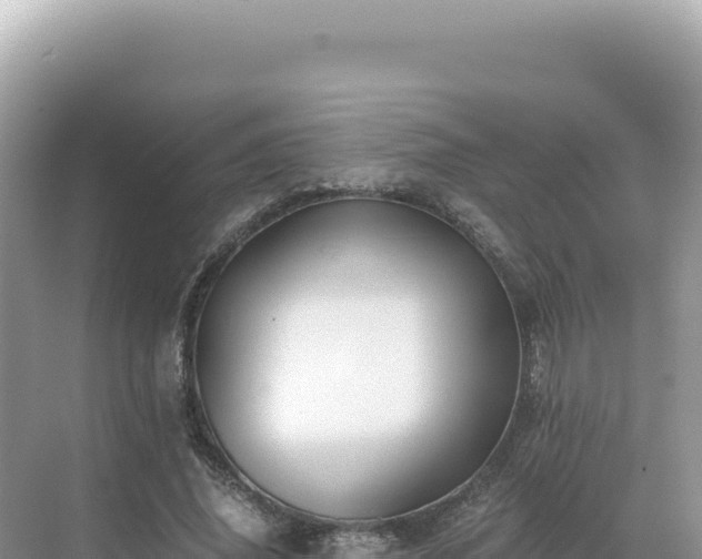 X0000071380636200606301811