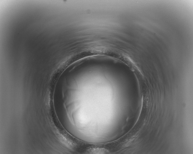 X0000071380637200606301811