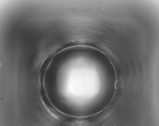 X0000071380638200606301811