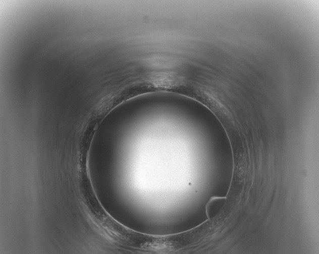 X0000071380639200606301811