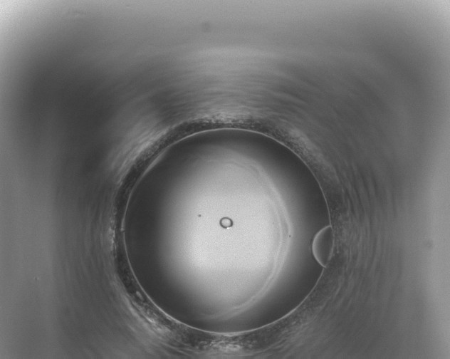 X0000071380640200606301811