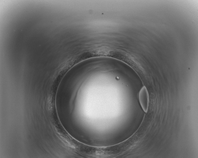 X0000071380641200606301811