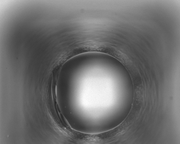 X0000071380642200606301811