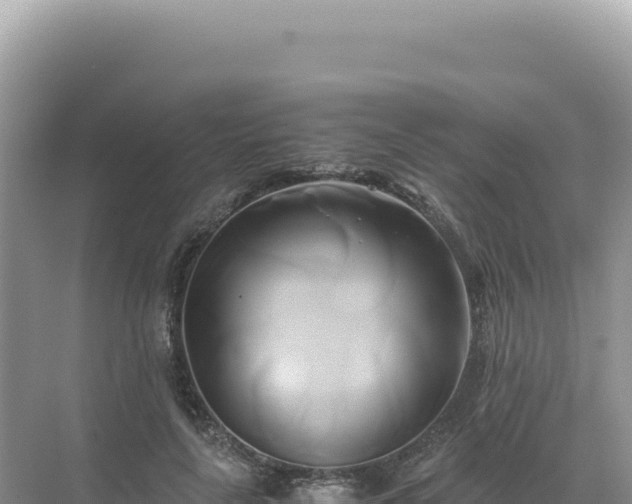 X0000071380643200606301811