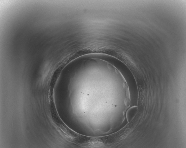 X0000071380644200606301811