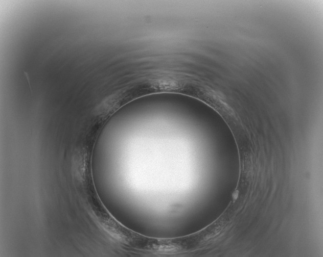 X0000071380645200606301811