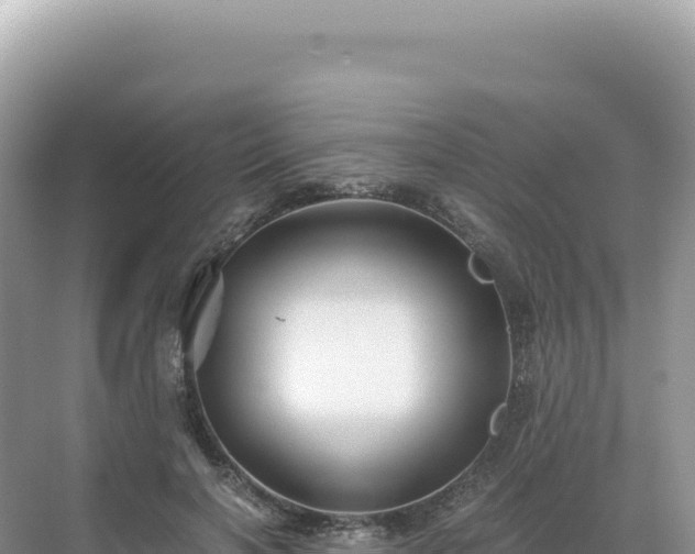 X0000071380646200606301811