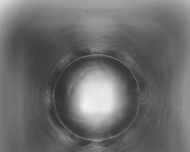 X0000071380648200606301811