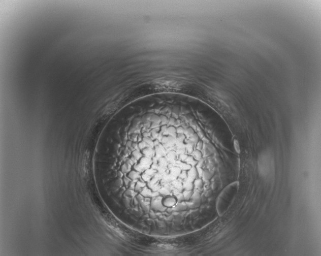 X0000071380649200606301811