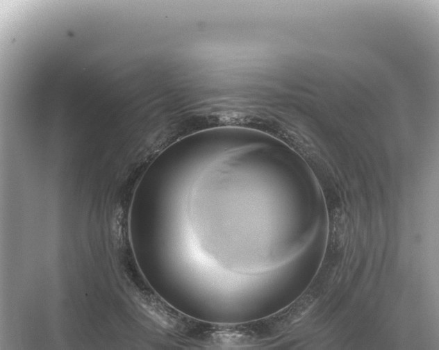 X0000071380650200606301811