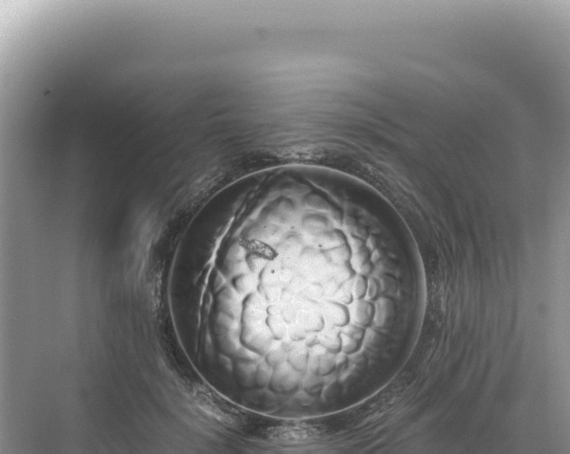 X0000071380652200606301811