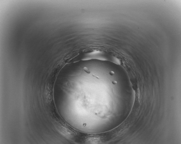 X0000071380653200606301811