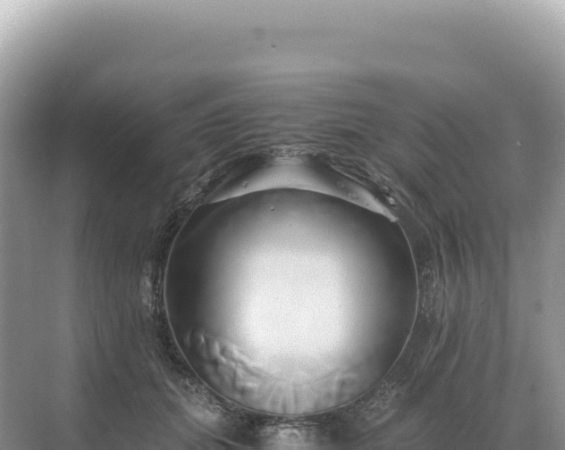 X0000071380655200606301811