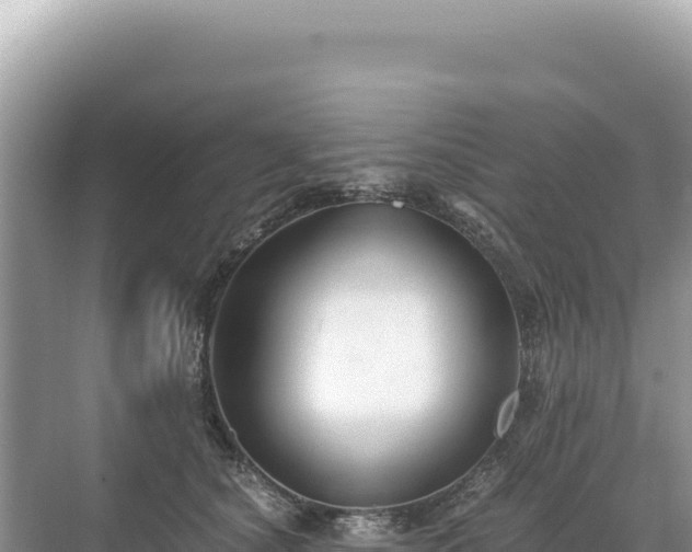 X0000071380660200606301811