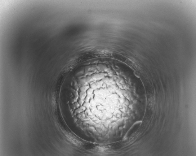 X0000071380662200606301811