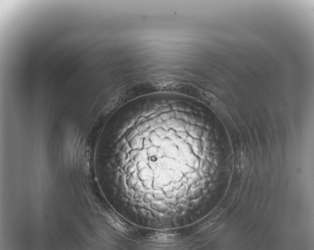 X0000071380664200606301811