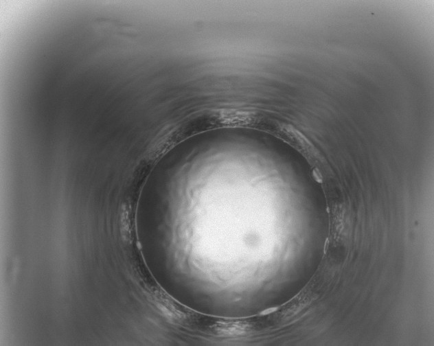 X0000071380667200606301811