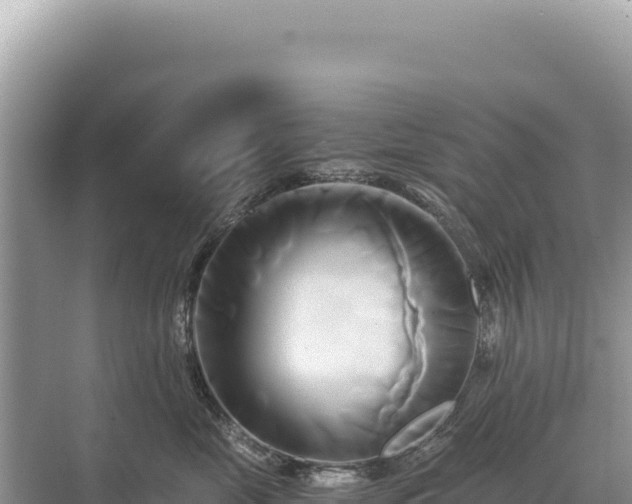 X0000071380669200606301811