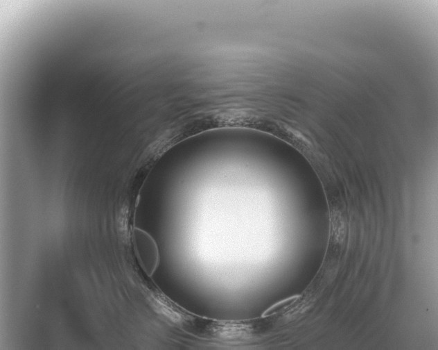 X0000071380670200606301811