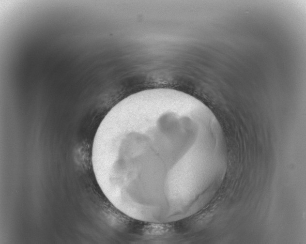 X0000071380672200606301811