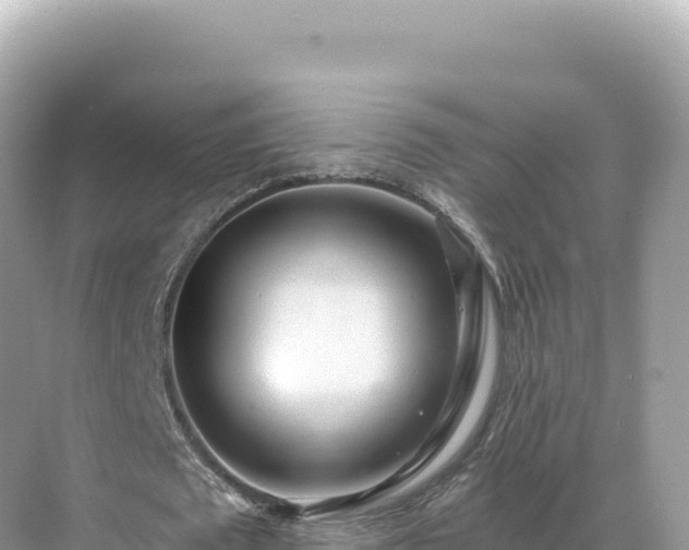 X0000071380673200606301810