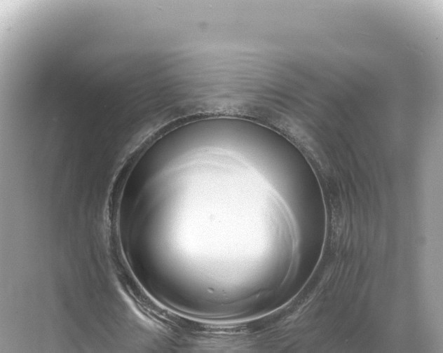 X0000071380674200606301810