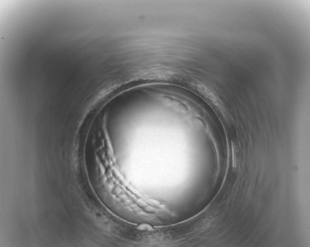 X0000071380675200606301810