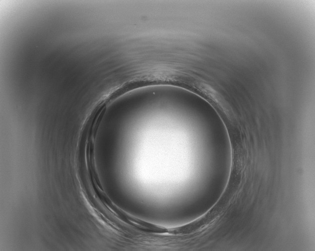 X0000071380677200606301810