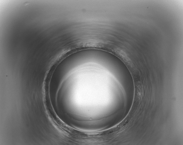 X0000071380678200606301810