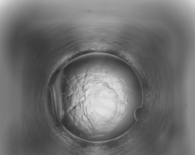 X0000071380679200606301810