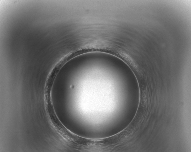 X0000071380680200606301810