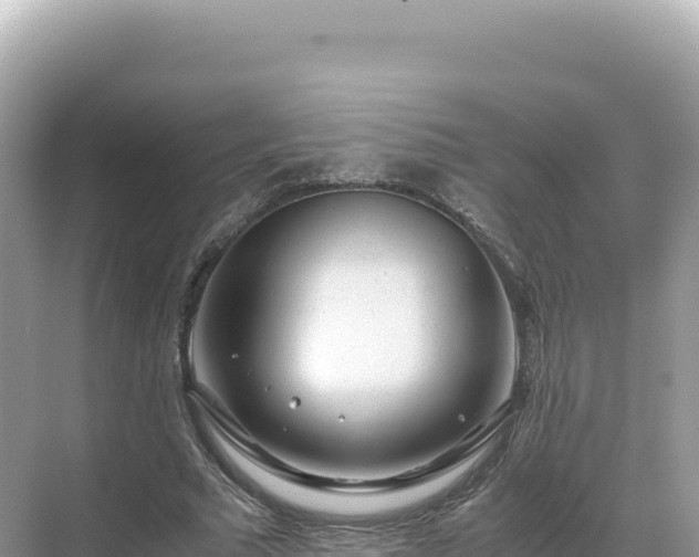 X0000071380681200606301810