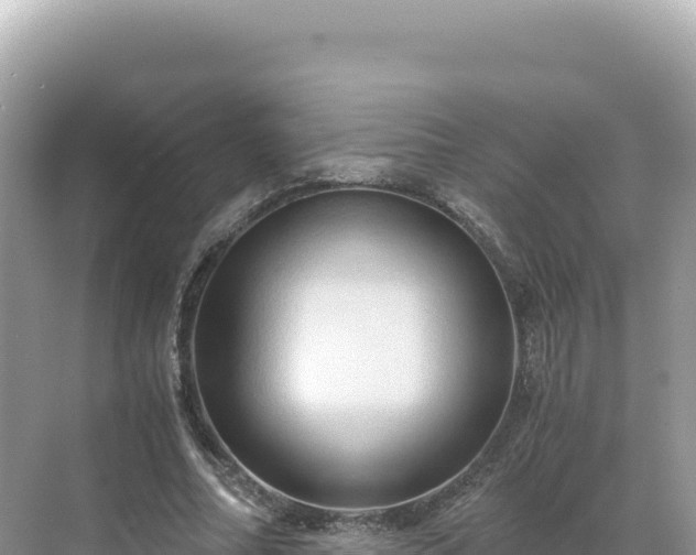 X0000071380682200606301810